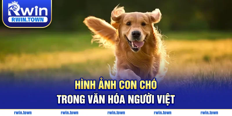 Ý nghĩa loài chó trong văn hóa dân gian