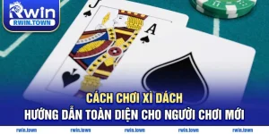 Cách chơi xì dách hướng dẫn toàn diện