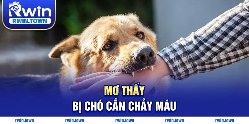 Giải thích ý nghĩa giấc mơ chó cắn chảy máu