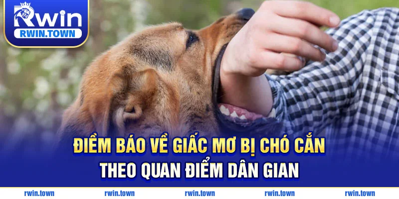Điềm báo về giấc mơ bị chó cắn theo quan điểm dân gian