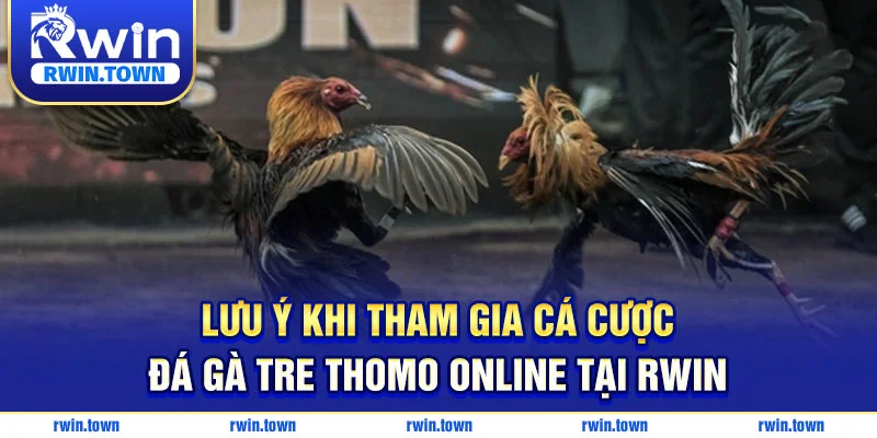Lưu Ý Khi Tham Gia Cá Cược Đá Gà Tre Thomo Online Tại RWIN
