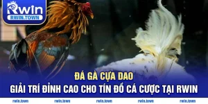 Đá gà cựa dao đỉnh cao cá cược rwin