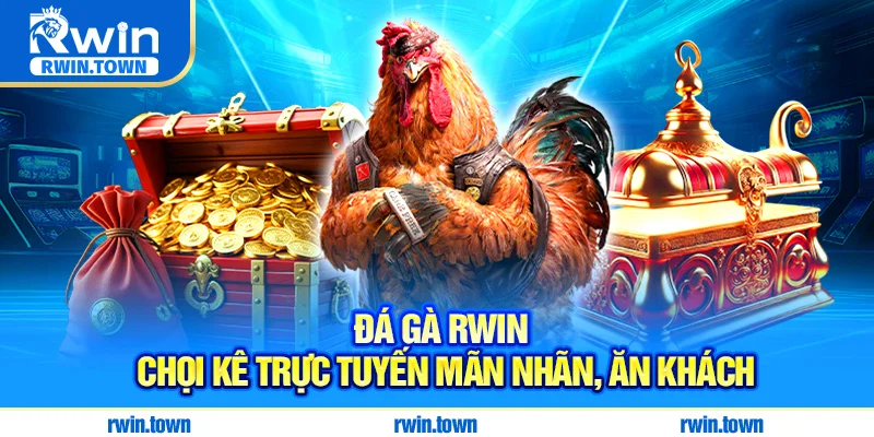 Đá gà RWIN - Chọi kê trực tuyến mãn nhãn, ăn khách